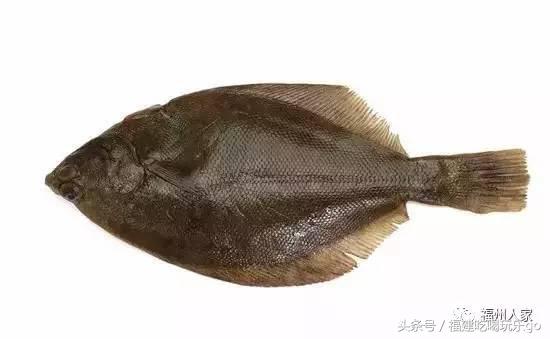 福建十大公认最好吃的菜,福建海鲜美食排行榜前十名