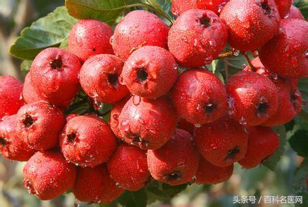 食欲不振胃胀解决的方法,胃炎吃饭后反酸怎么回事