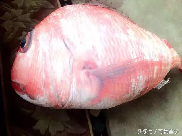 日本福袋都是大坑！盘点日本新年福袋里奇怪物品