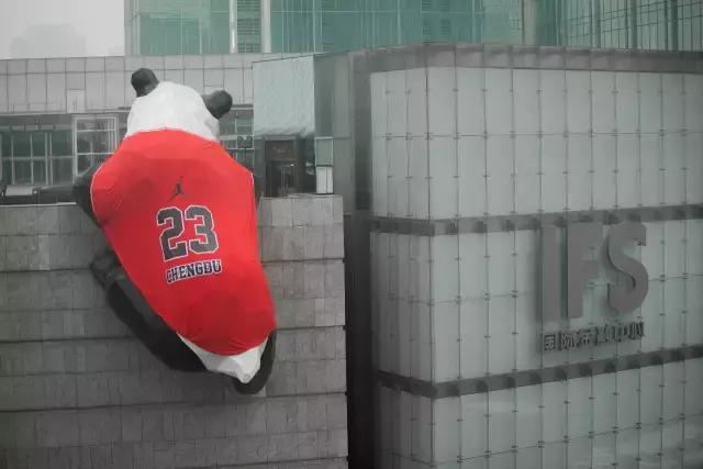 成都ifs熊猫叫什么名字,成都ifs熊猫的看点是什么