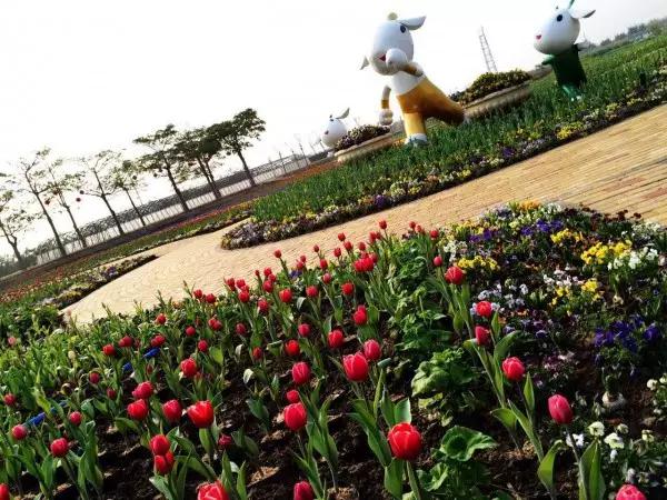 从东莞出发,不到两小时,就可以感受到靓爆灯的童话世界！