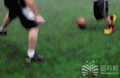 鹿晗踢球什么水平,鹿晗踢球球水平