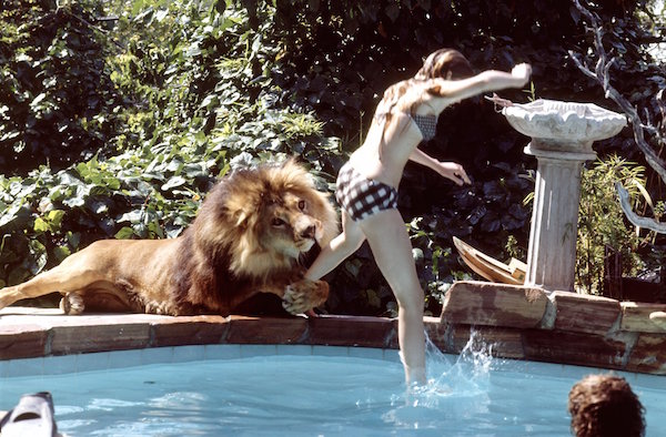 威严公狮子其实不靠谱：“恋足癖”、爱足疗，还关公崇拜？