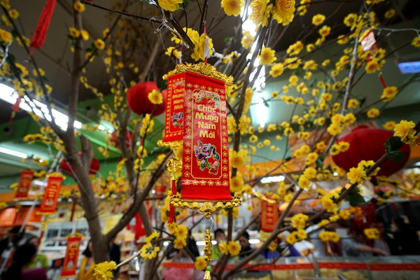 越南旅游购物店珍珠值得买吗,越南腰果购买攻略