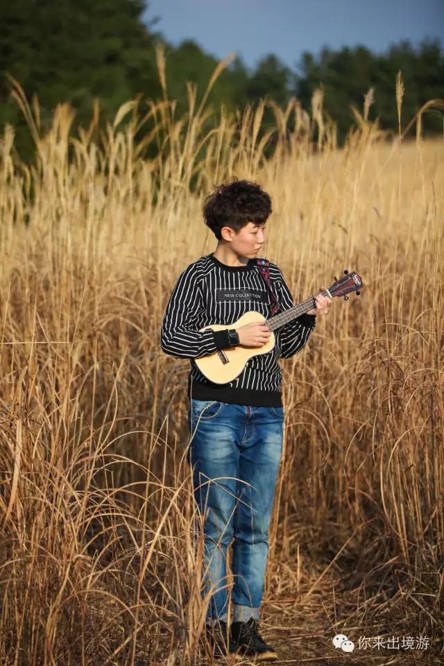 你来说旅行|猫火火“绘”旅行揭秘你所不知道的济州