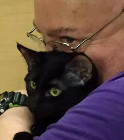 主人救了小猫,主人癫痫发作猫反应