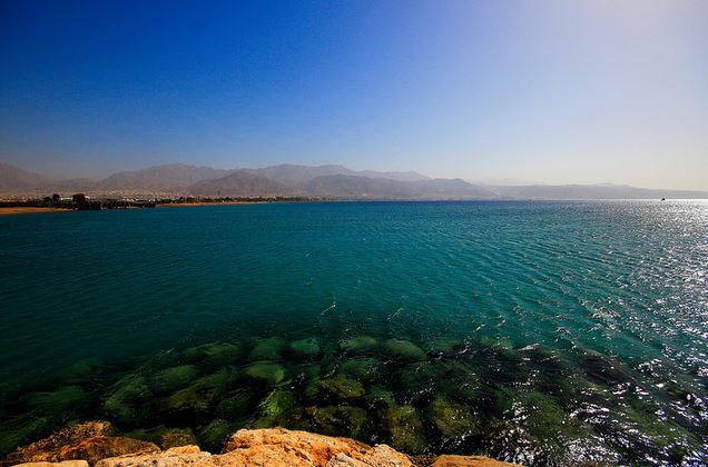 哪怕你不爱我我会一直爱着你日语,即使你不爱我了我也会永远爱你