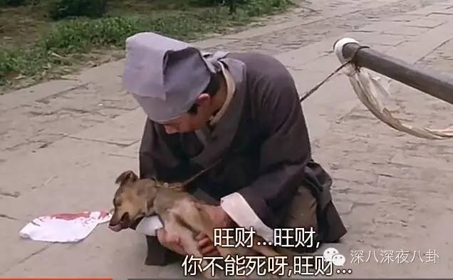 唐伯虎点秋香为何当年被骂,唐伯虎点秋香年年有今日