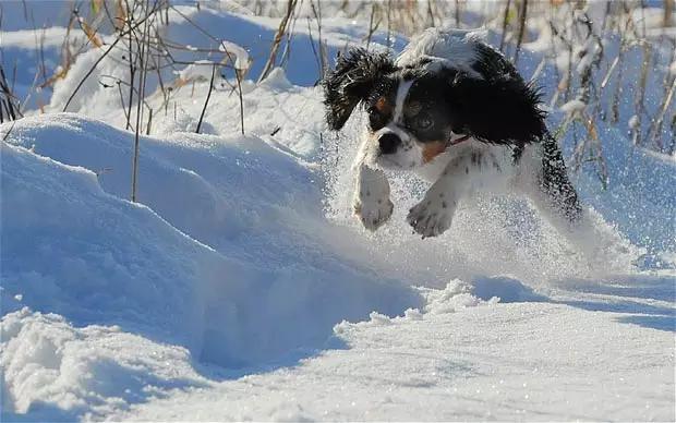 鞋靴懒人速效护理方法,春季鞋子护理小常识
