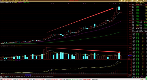 高级操盘手必备技巧,顶级操盘手的10个日常步骤供参考