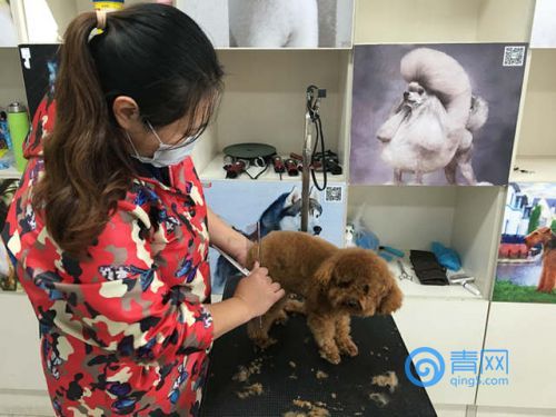 青岛女子花了1000多买东西,青岛女子花一千元逛超市抖音号