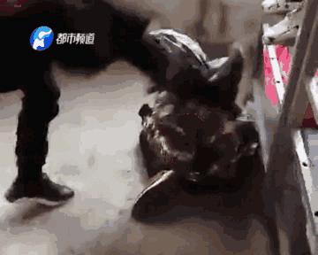 一男孩被多人围殴逼着下跪道歉,男童遭多名青年殴打被逼下跪磕头