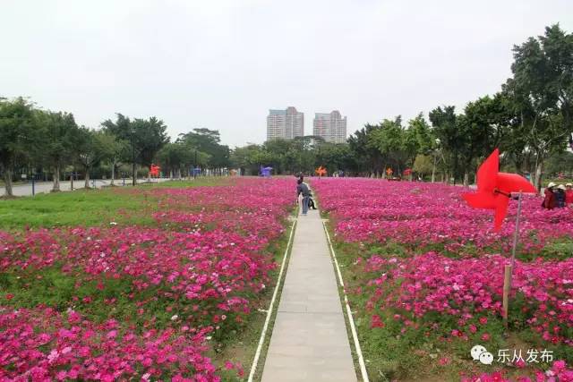 您好，2017年｜阳光灿烂，花果飘香，迎新年这些地方你不得不去！