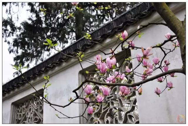 中国每个季节的旅游攻略 (中国一年四季的旅游攻略)