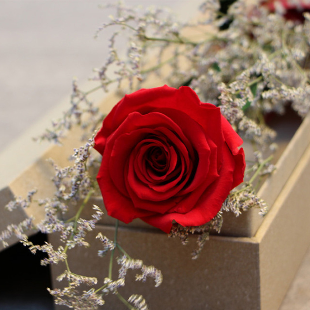 玫瑰花,玫瑰花的葬礼