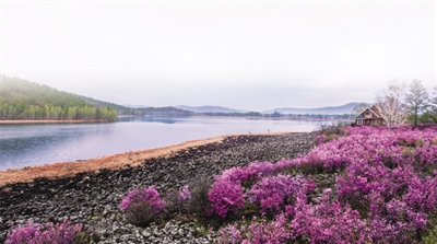 金字招牌寓意,金字招牌人气新店
