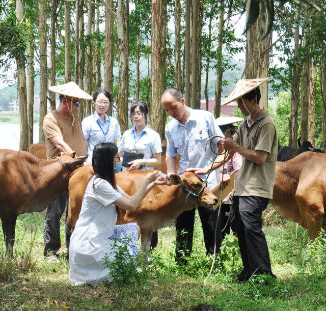 福州法院最新案例,不忘初心牢记使命法院工作思路