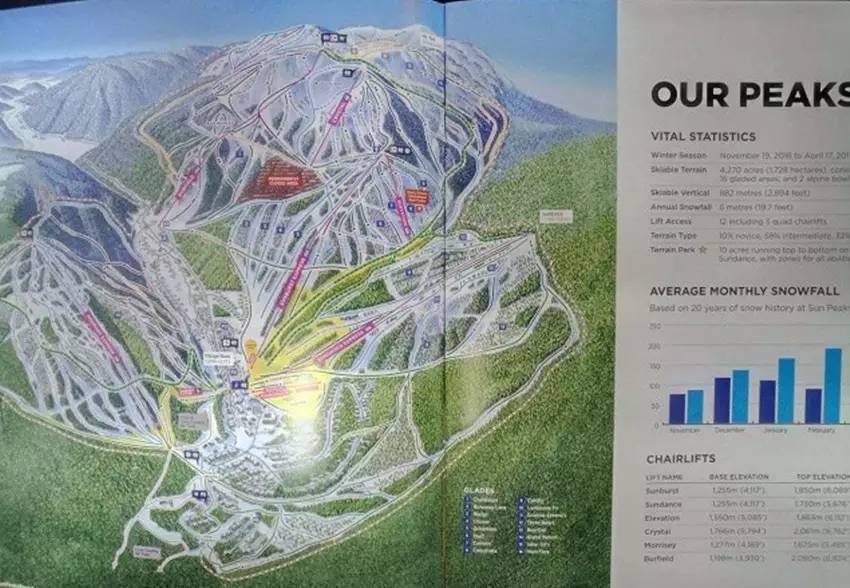 滑雪里的滑双板,双板滑雪与单板滑雪哪个简单好学