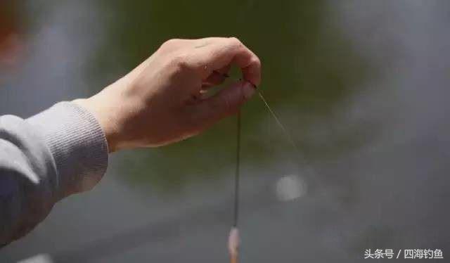 钓鱼真实吃饵各种漂相,钓鱼技巧浮漂