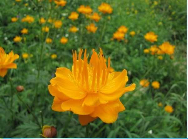 张家口旅游小五台山离市区远吗,张家口小五台山全景图