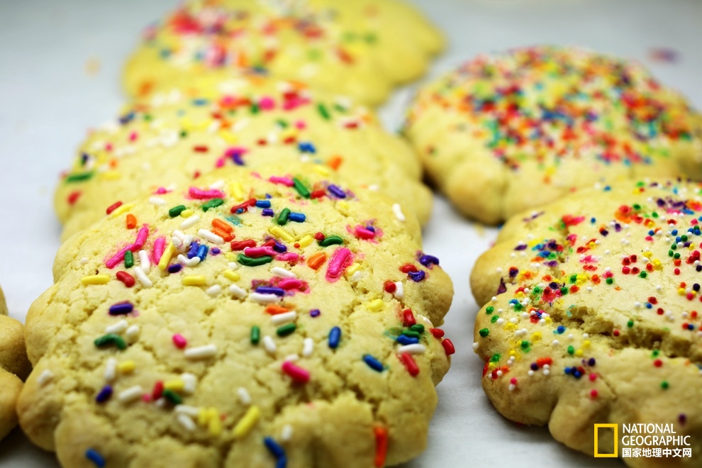 图森仙人掌,图森地理位置