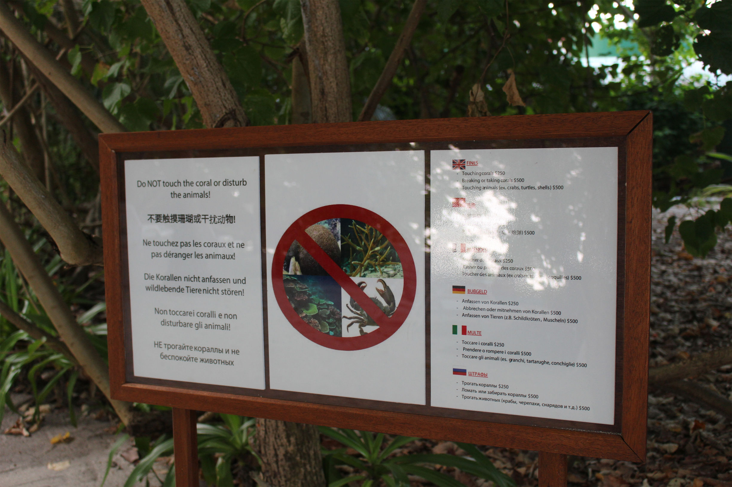 马尔代夫最美景色,最美马尔代夫风景