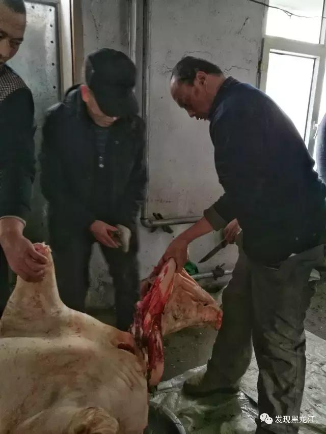 现场实拍农村一家人杀年猪全过程,东北农村真实生活杀年猪