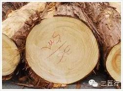 全网最畅销的砧板,世界最好砧板品牌