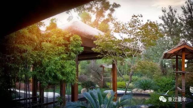 常州恐龙园省钱攻略,常州恐龙园恐龙穿越侏罗纪