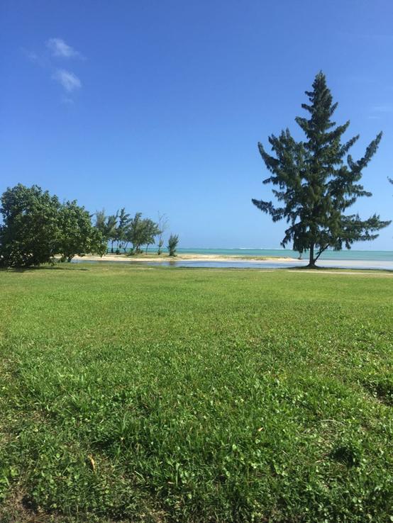 蜜月旅行去毛里求斯怎么样,毛里求斯和另一国一起旅游