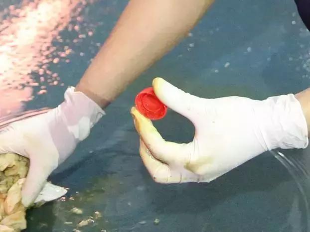 拯救瓶盖君——掏粪男孩的不眠之夜