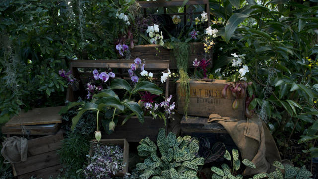 英国伦敦旅游购物攻略,伦敦旅游攻略相关推荐