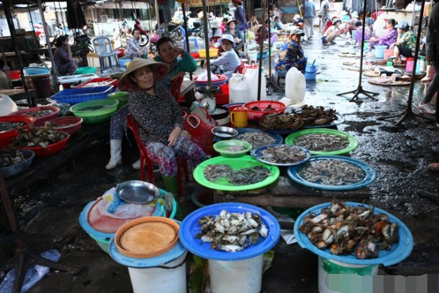 越南芽庄最新海鲜,实拍越南的海鲜集市