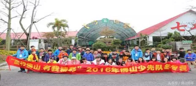 成都市少先队工作总结,广东省佛山市少先队讲解