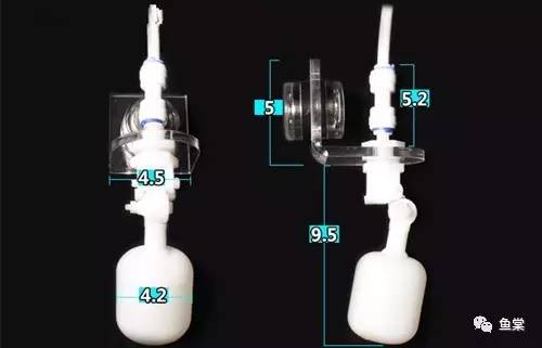 过年要回家鱼没人喂怎么办,过年了要外出家里的鱼怎么办