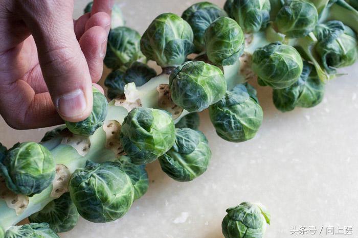 抱子甘蓝迷你小包菜3月能种吗,抱子甘蓝跟包菜口感一样吗