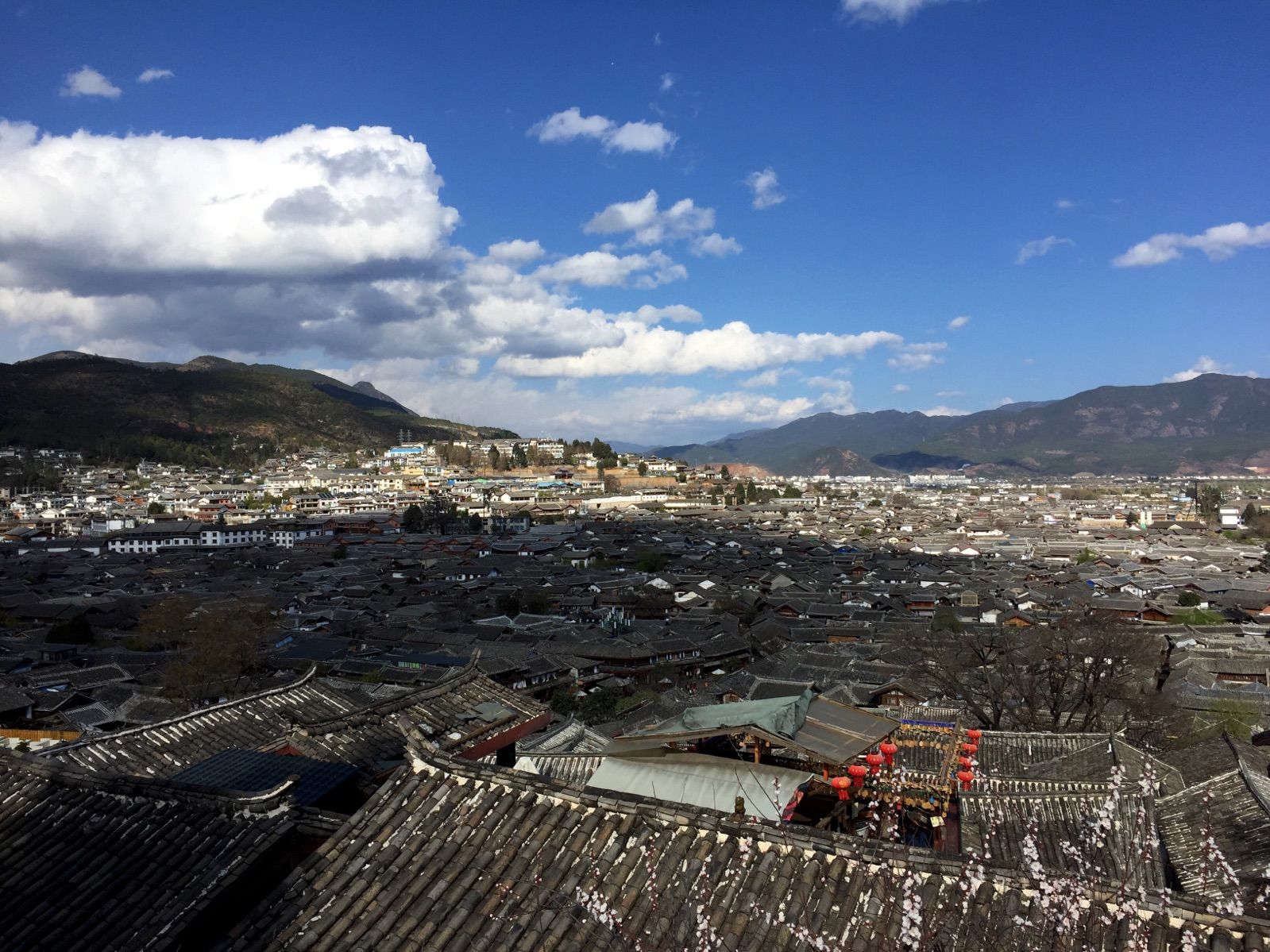 我在丽江那些柔软时光,丽江庭院之柔软时光