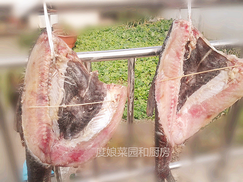 骞磋揣楸肩殑鑵屽埗鏂规硶,骞磋揣鑵屽埗鍜搁奔