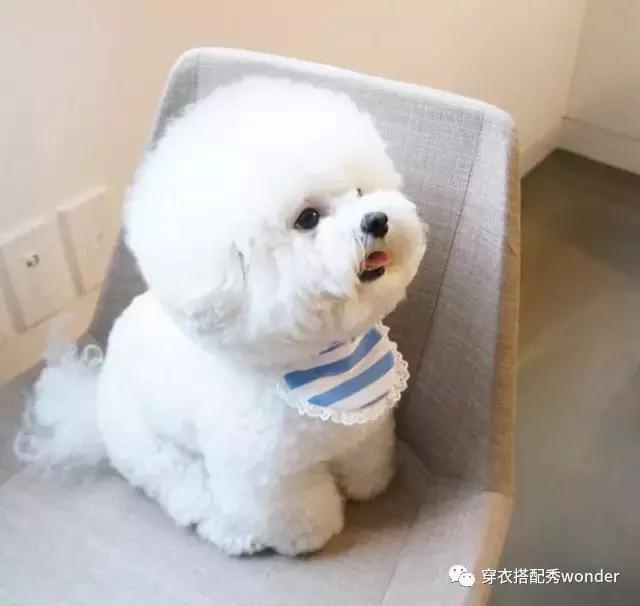 去海边穿搭推荐春季,海岛防晒攻略