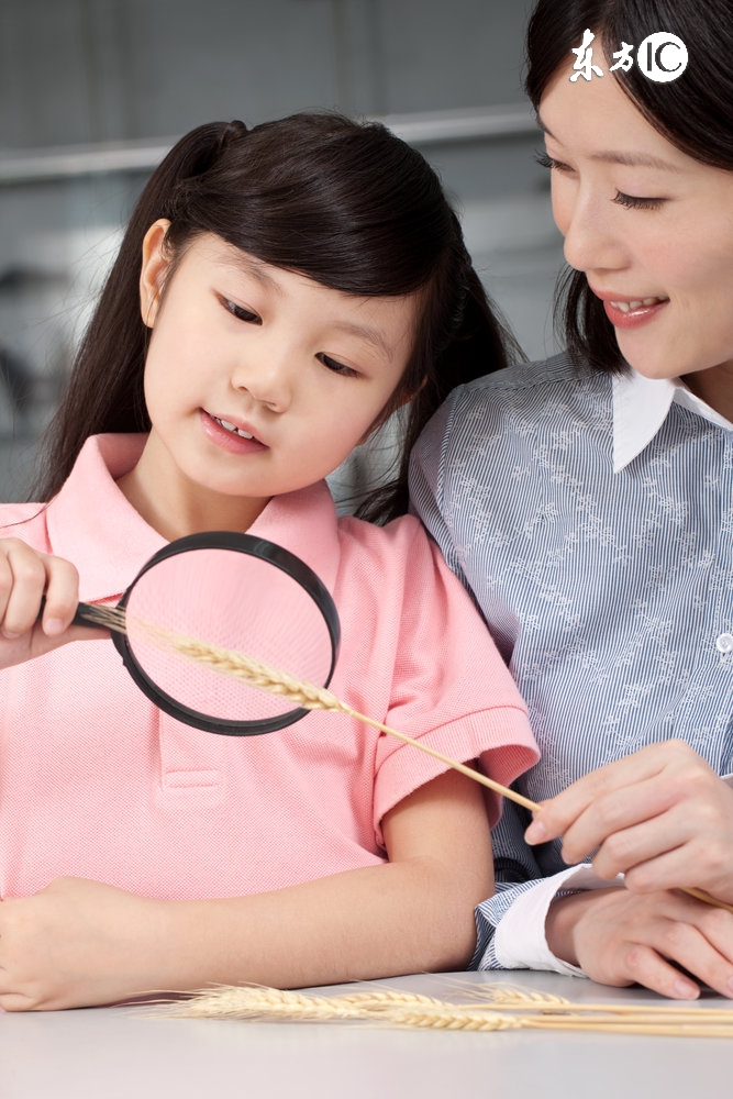 回顾与思考优秀教师成长启示录,教师成长之路任重而道远