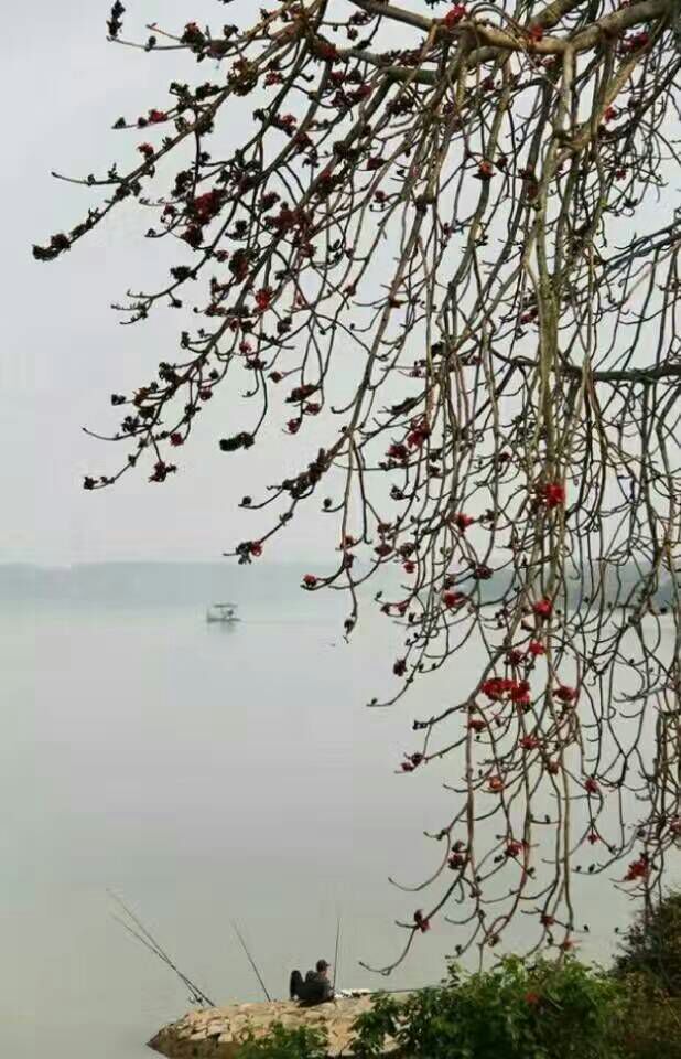 看完这些摄影作品点评，你的摄影技能会有大幅提升