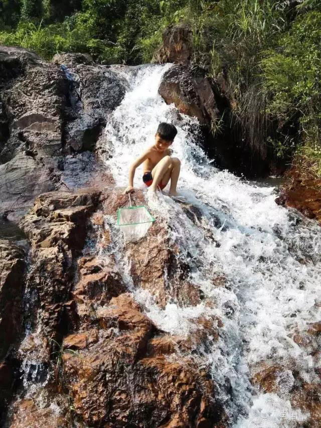 大尖山露营公园图,五桂山山旮旯露营基地