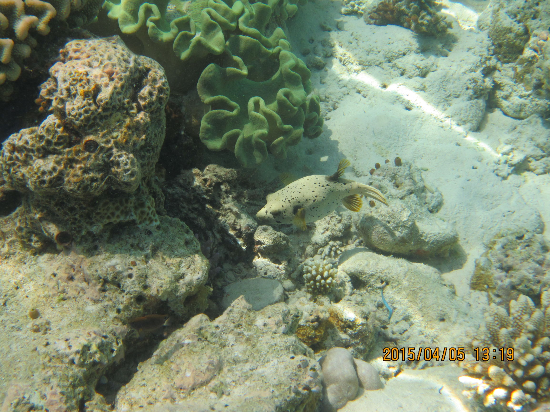 马尔代夫最美景色,最美马尔代夫风景