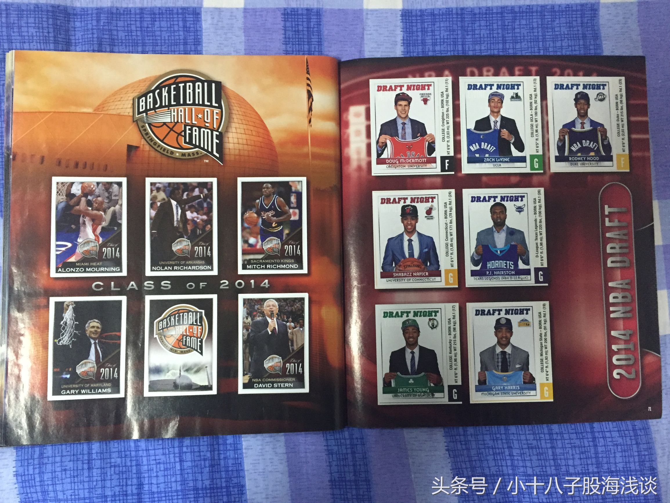 帕尼尼nba贴纸,nba帕尼尼贴纸卡