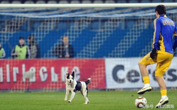 足球比赛失眠,足球有趣的趣事