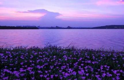 东莞最值得去的四大景点,东莞有几个旅游景点