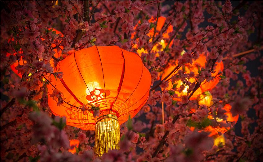 哪来的小仙女居然掉进我家了？原来是我们的小公主啊