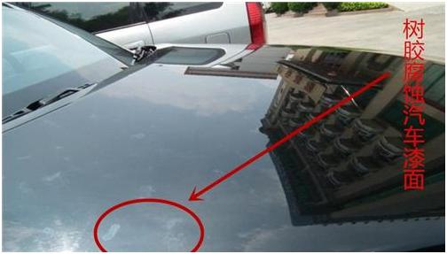 漆面镀晶防刮性如何,夏天爱车漆面保护就选择镀晶