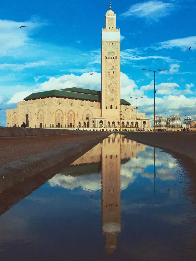 如何申请法国交换生,欧洲交换生