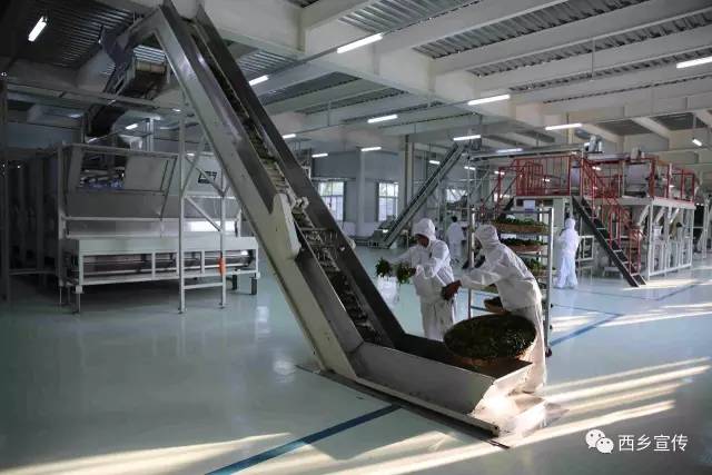 追赶超越促西乡“蝶变”